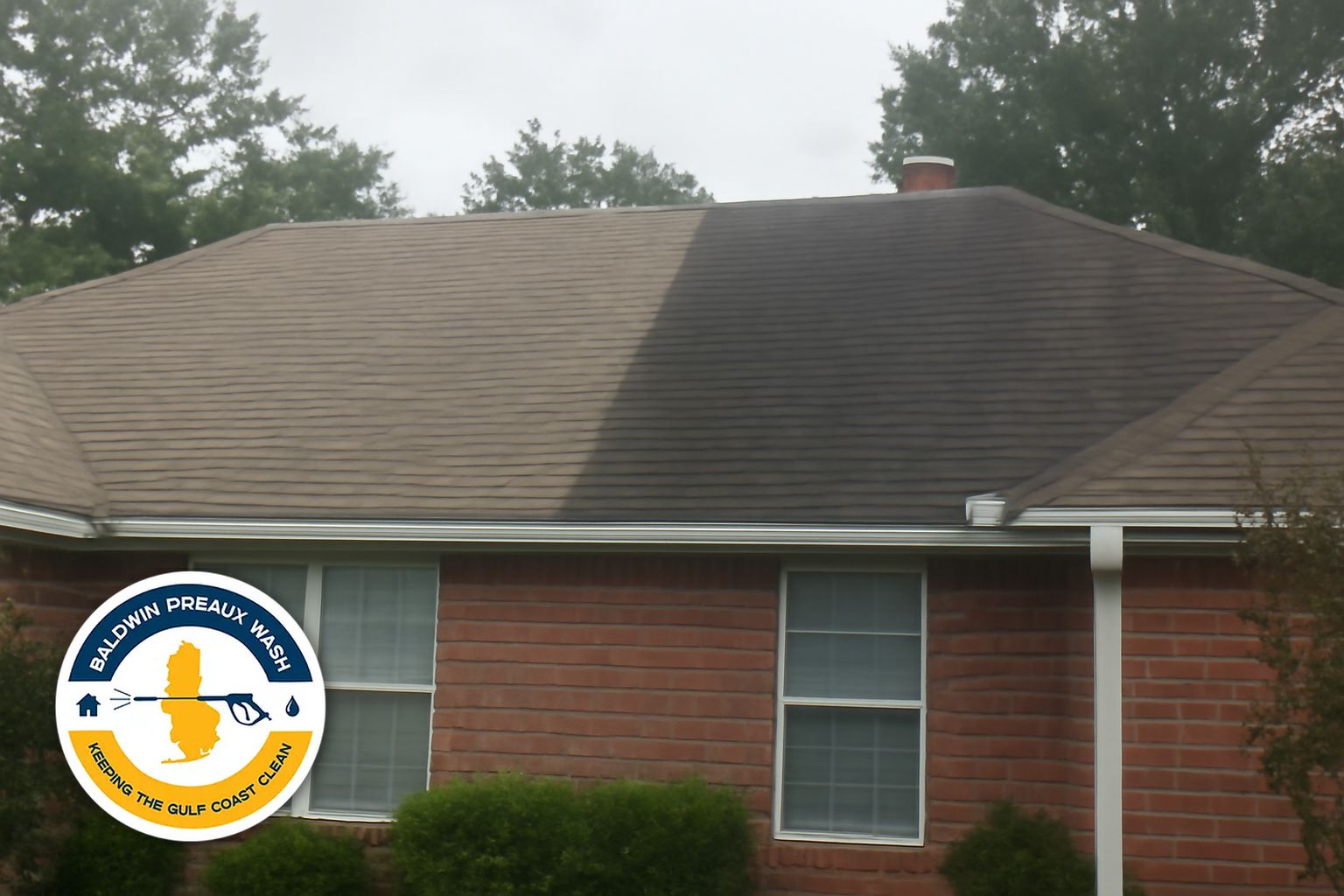 Clean asphalt shingles after soft wash treatment on an Eastern Shore home